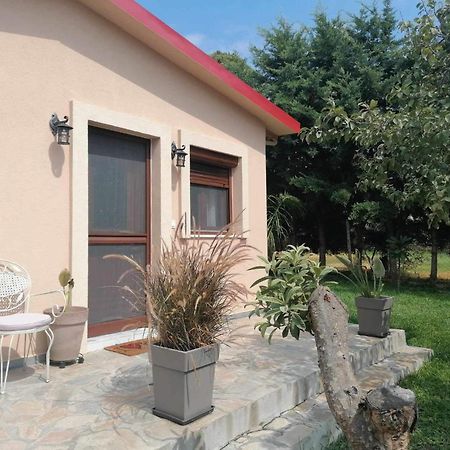 Tiny House By The Sea Villa Nea Skioni Dış mekan fotoğraf