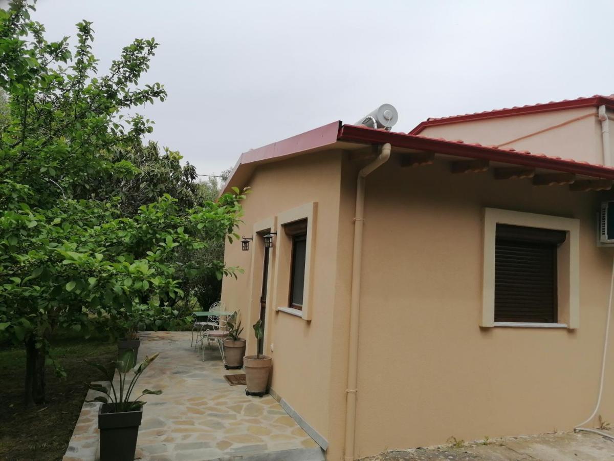 Tiny House By The Sea Villa Nea Skioni Dış mekan fotoğraf