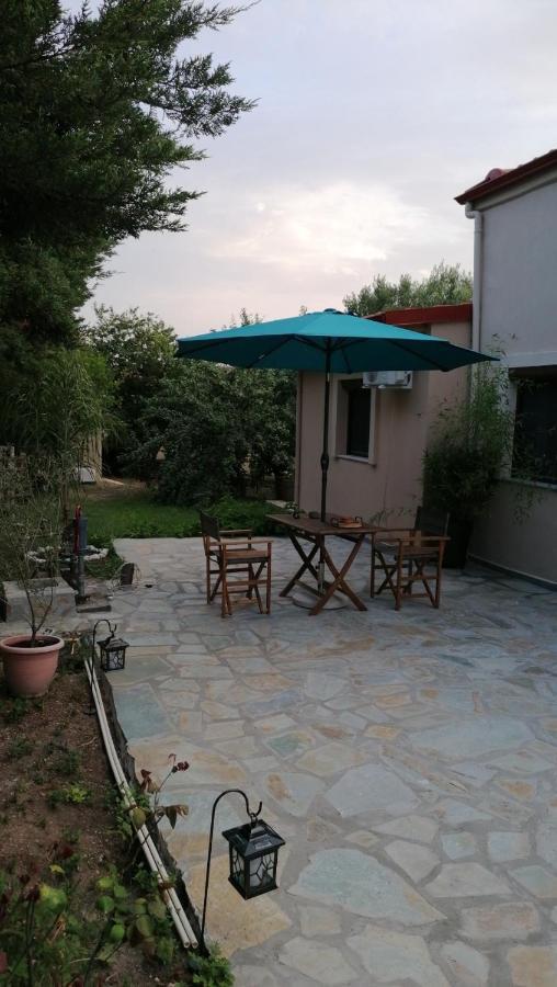 Tiny House By The Sea Villa Nea Skioni Dış mekan fotoğraf