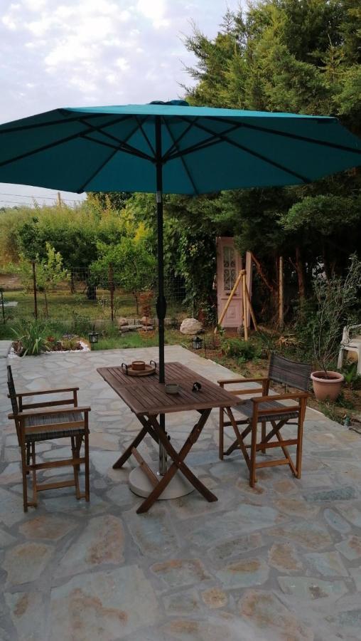 Tiny House By The Sea Villa Nea Skioni Dış mekan fotoğraf