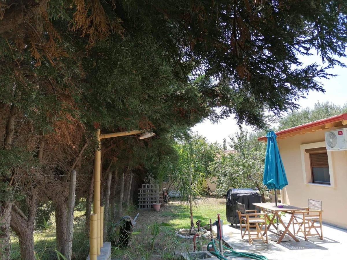 Tiny House By The Sea Villa Nea Skioni Dış mekan fotoğraf