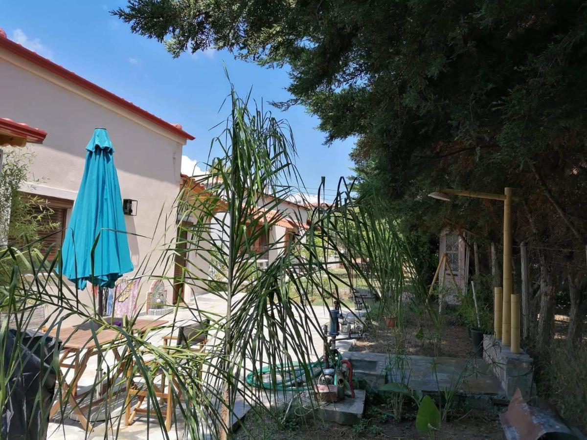 Tiny House By The Sea Villa Nea Skioni Dış mekan fotoğraf