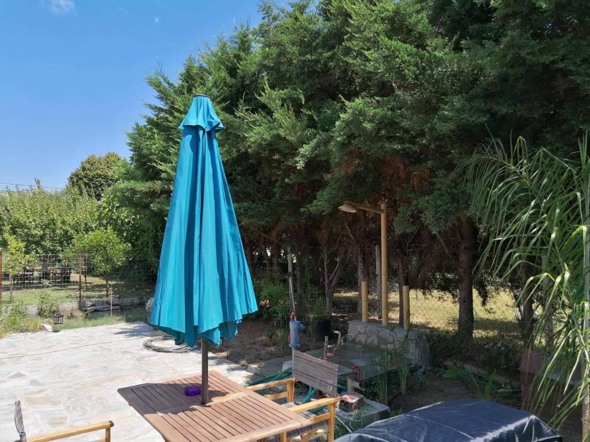 Tiny House By The Sea Villa Nea Skioni Dış mekan fotoğraf
