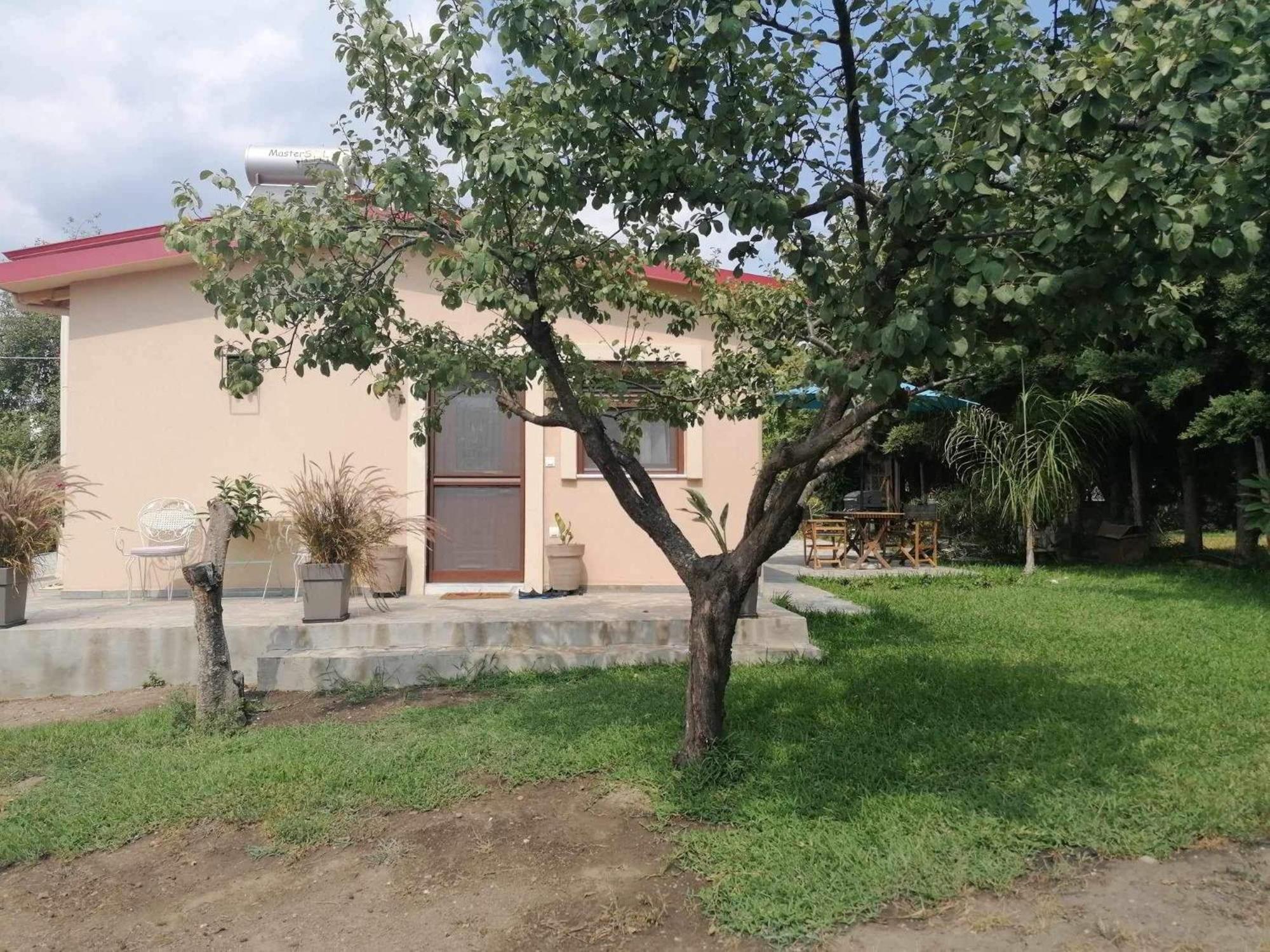 Tiny House By The Sea Villa Nea Skioni Dış mekan fotoğraf