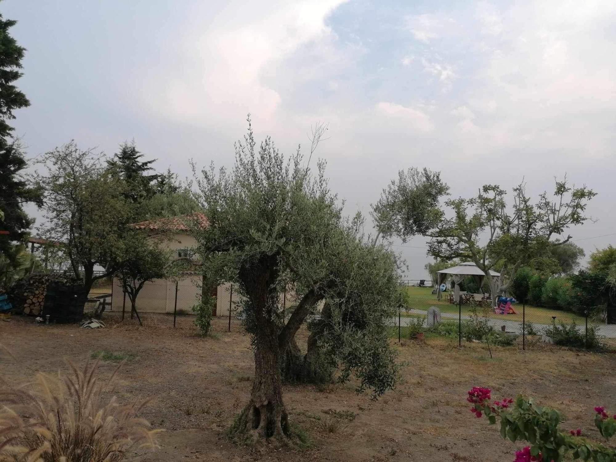 Tiny House By The Sea Villa Nea Skioni Dış mekan fotoğraf